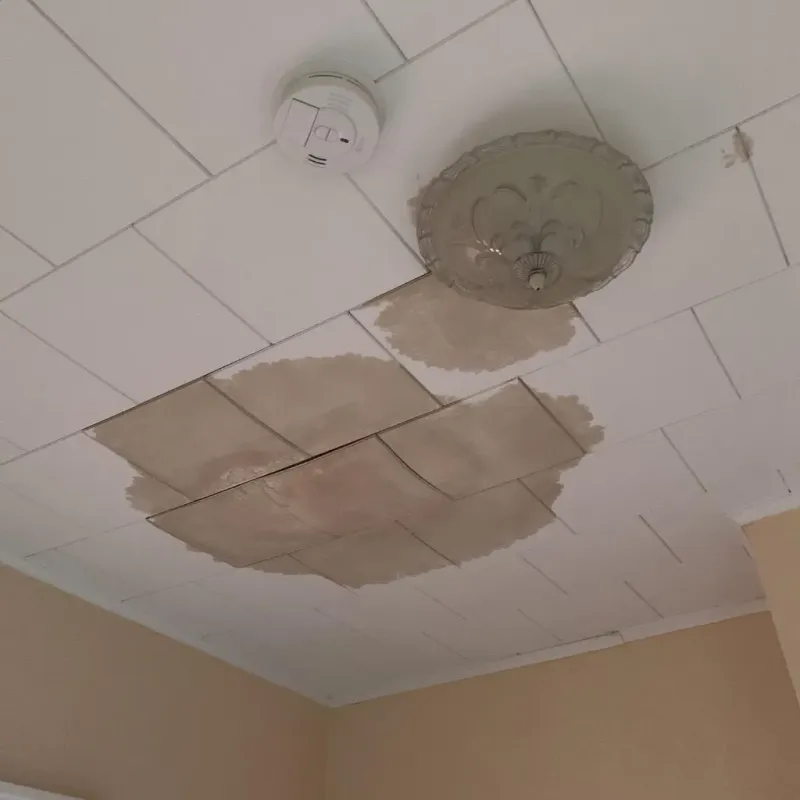 Ceiling Water Damage Repair in Sundance, WY