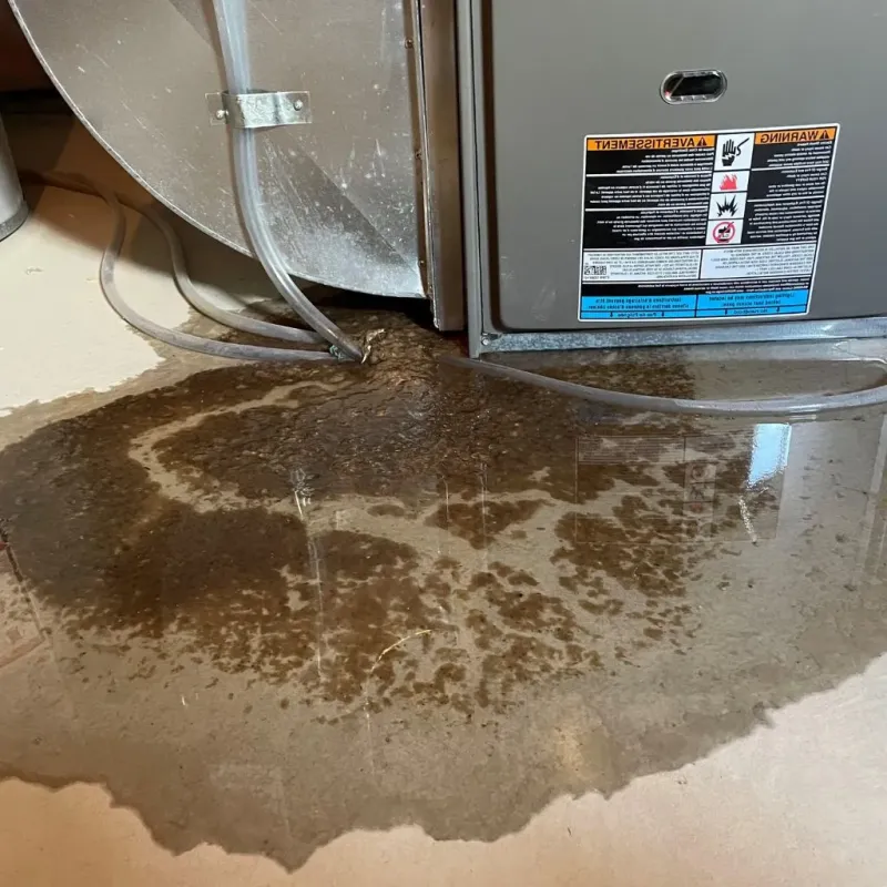 Pipe Burst and Leak Restoration in Sundance, WY