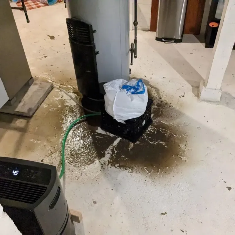 Sewage Backup Cleanup Service in Sundance, WY